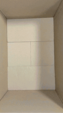 🎁 Box mystère 10kg